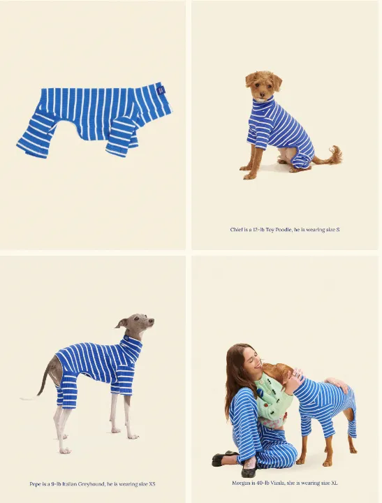 宠物时尚品牌Little Beast：3人团队打造200美元狗包爆款，年销百万美元