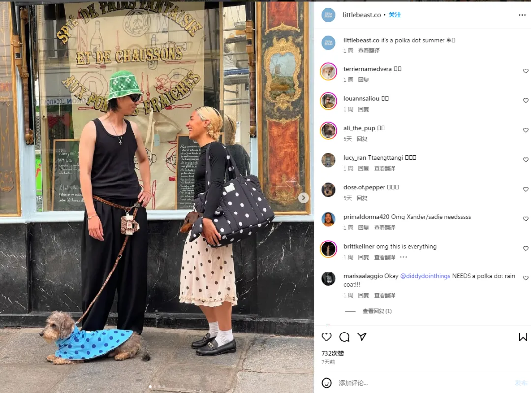 宠物时尚品牌Little Beast：3人团队打造200美元狗包爆款，年销百万美元