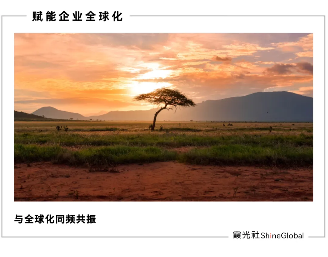 从刚果到迪拜：中国企业出海潮下的外派青年生存图鉴​