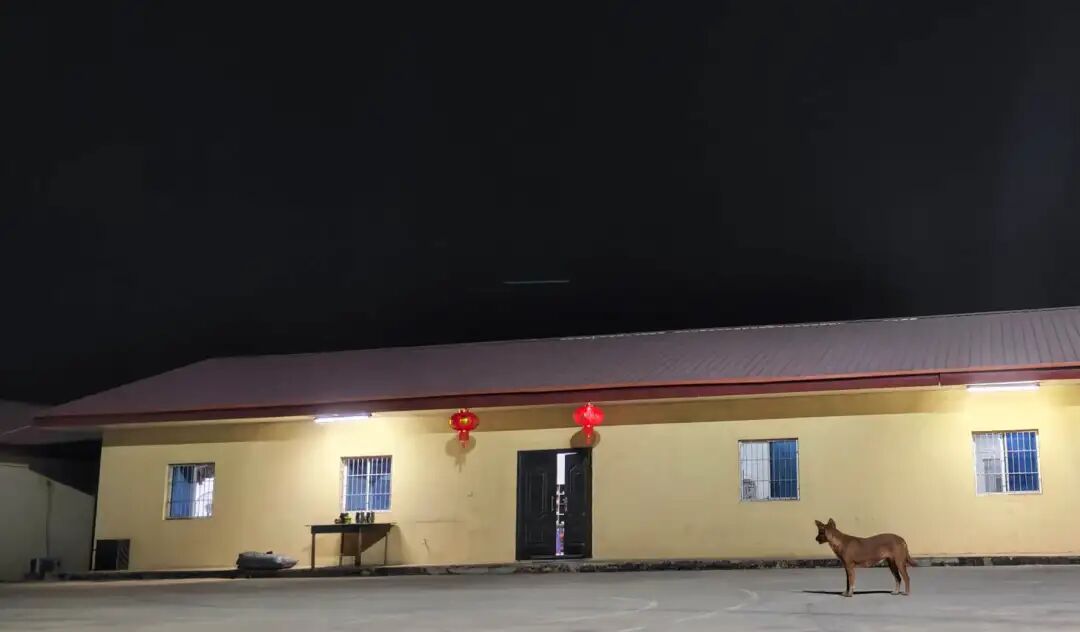 从刚果到迪拜：中国企业出海潮下的外派青年生存图鉴​