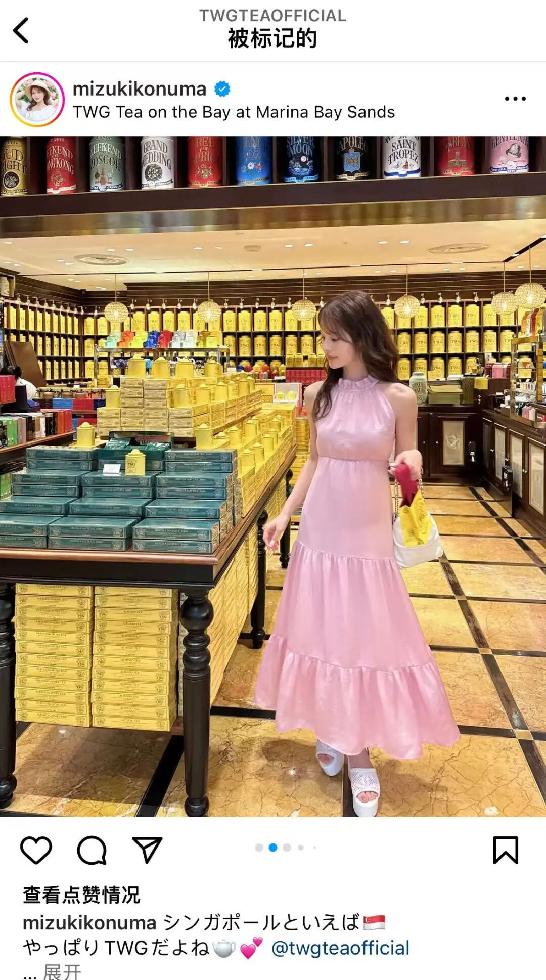 ​​茶叶奢侈品化：TWG Tea如何将云南普洱打造成"茶界爱马仕"​