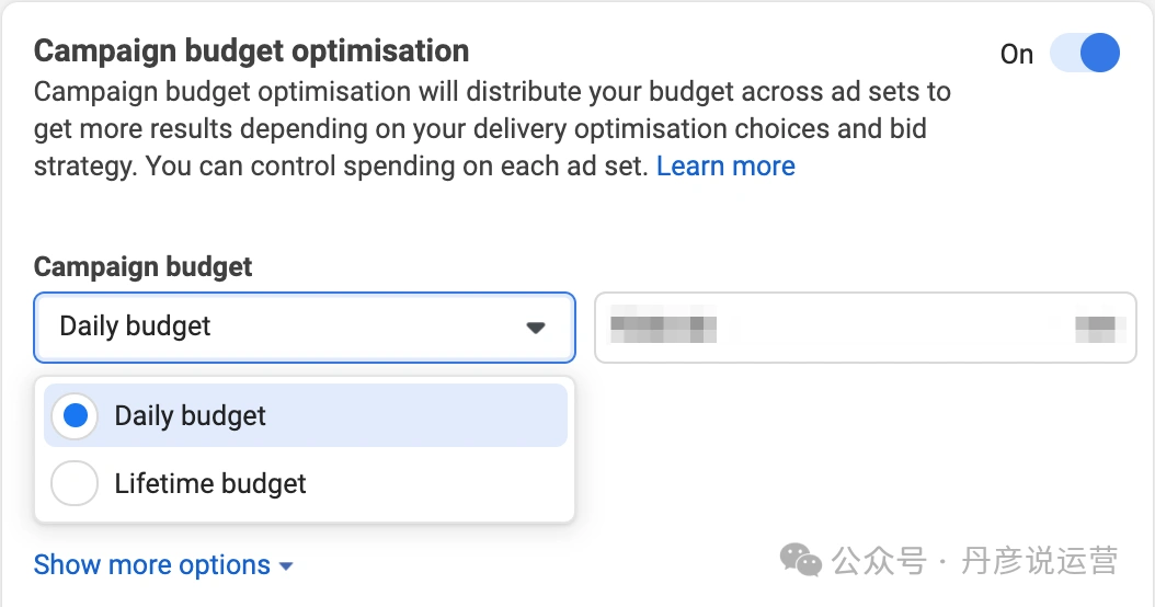 Instagram 广告系列预算优化每日预算 新手也能赚!Instagram 广告投放与变现完整指南
