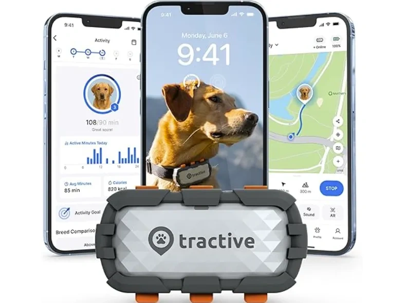图片 GPS追踪器销量破百万台:Tractive以“硬件+订阅制”模式掘金全球宠物智能市场