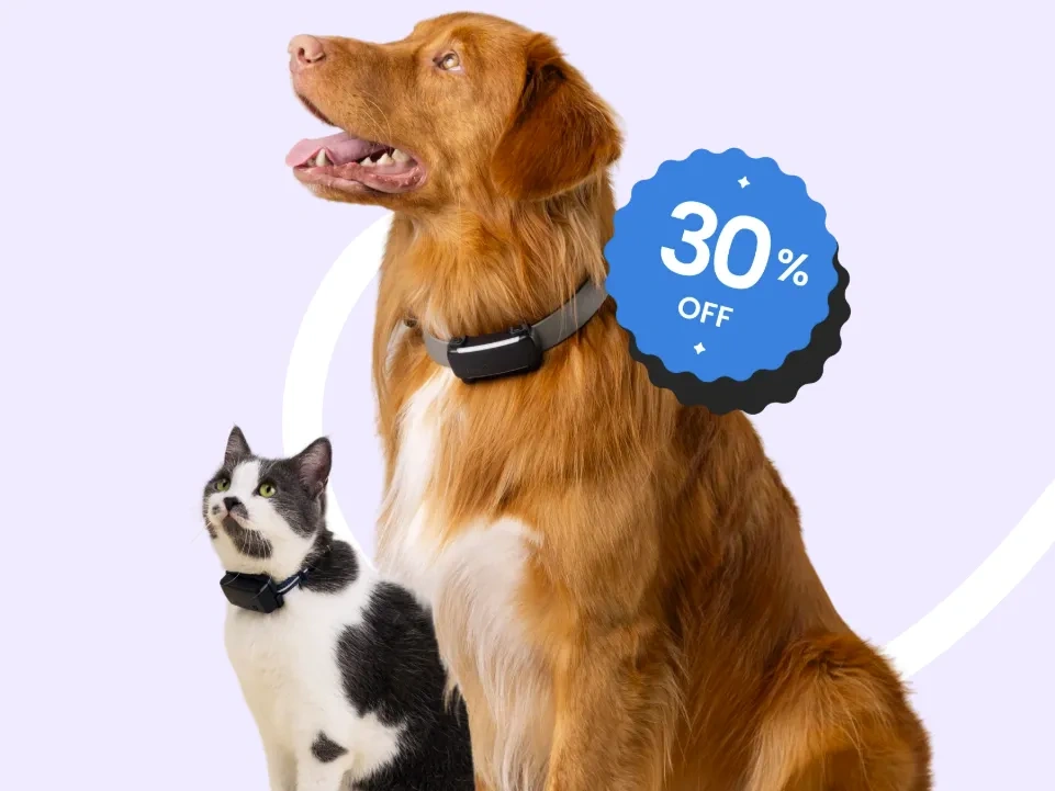 图片 GPS追踪器销量破百万台:Tractive以“硬件+订阅制”模式掘金全球宠物智能市场