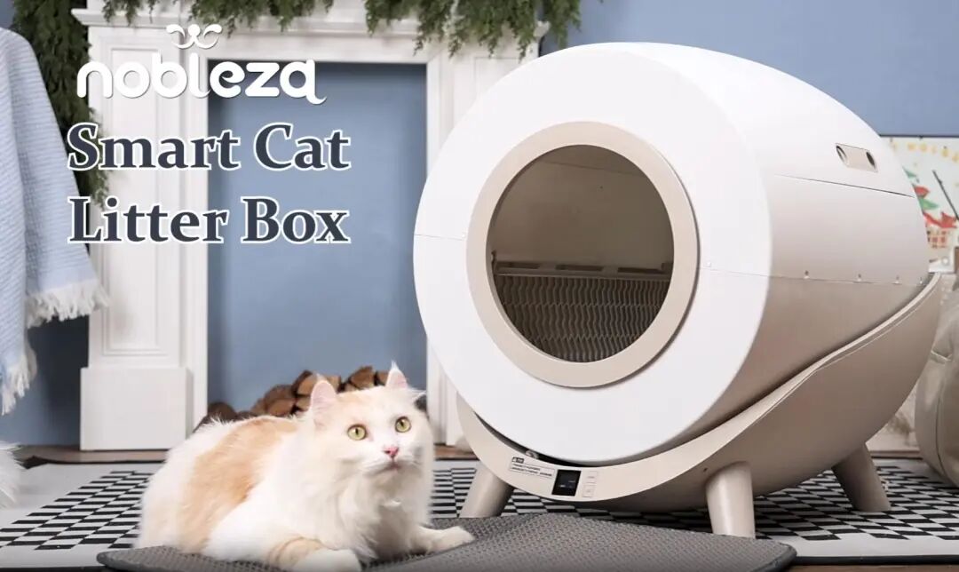 福州跨境隐形冠军爱购年入14.8亿，靠灯泡插座打入欧洲万家小店