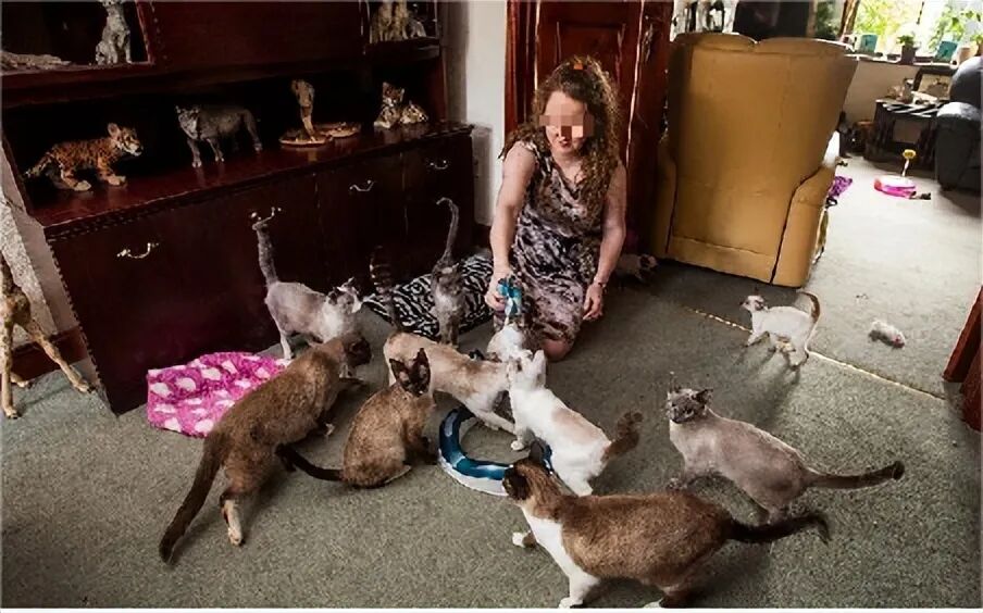 福州跨境隐形冠军爱购年入14.8亿，靠灯泡插座打入欧洲万家小店