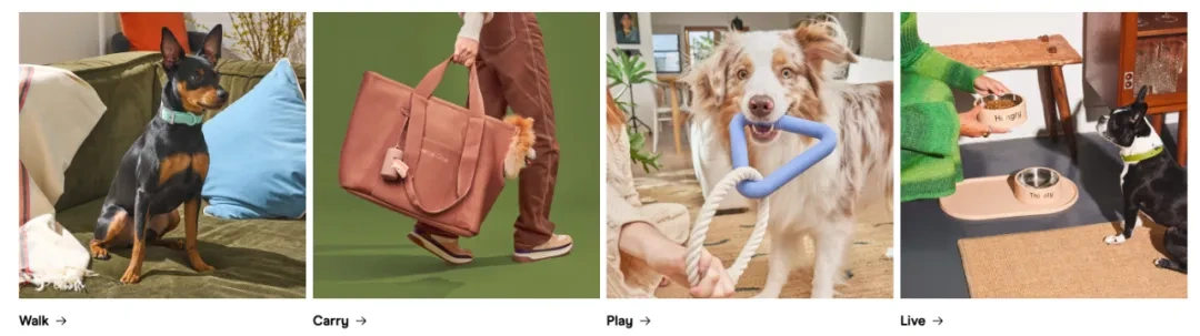 图片 2025年Shopify高利润利基市场指南:17个品类数据与选品策略解析