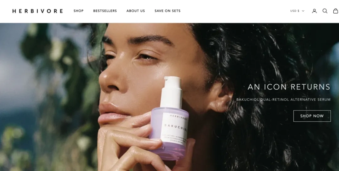 图片 2025年Shopify高利润利基市场指南:17个品类数据与选品策略解析