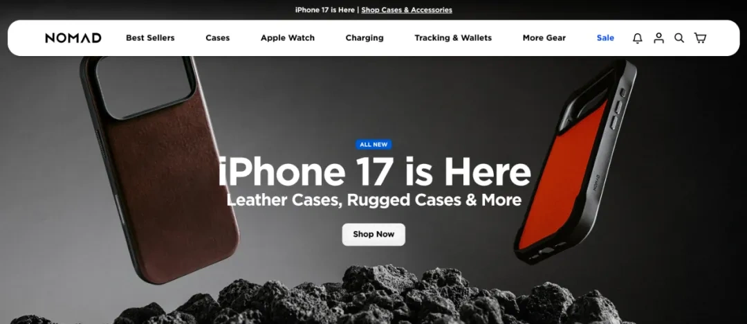 图片 2025年Shopify高利润利基市场指南:17个品类数据与选品策略解析