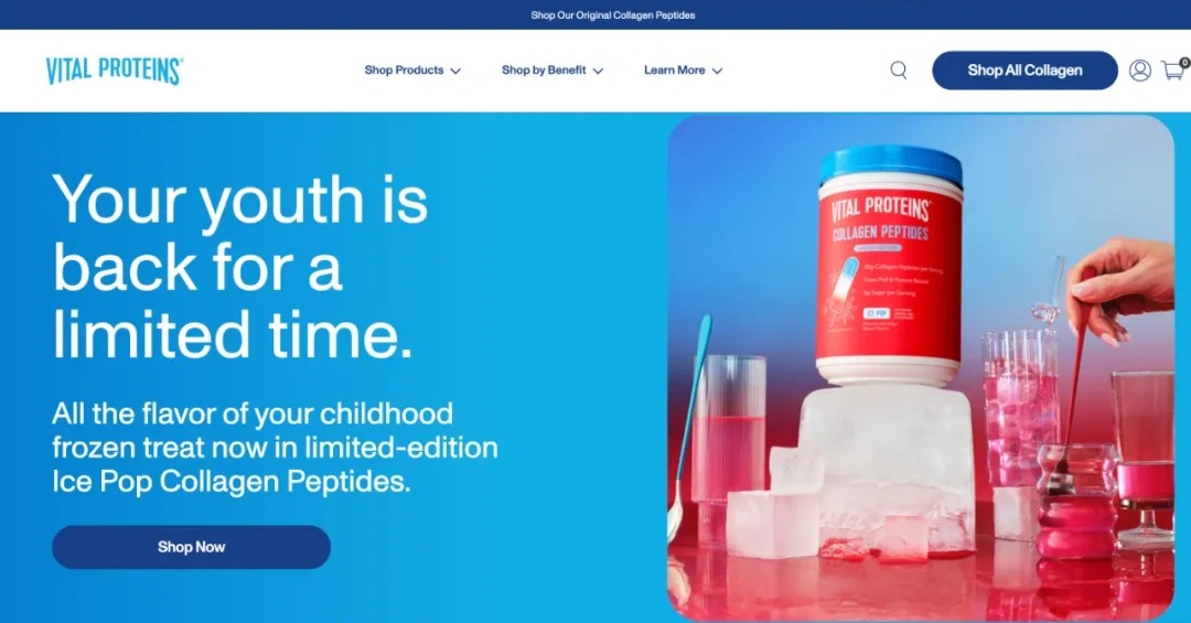 图片 2025年Shopify高利润利基市场指南:17个品类数据与选品策略解析