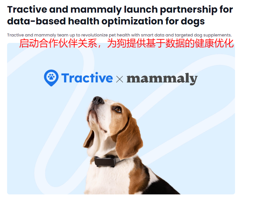 智能宠物穿戴设备赛道高速增长：Tractive靠GPS追踪与健康监测功能覆盖175国