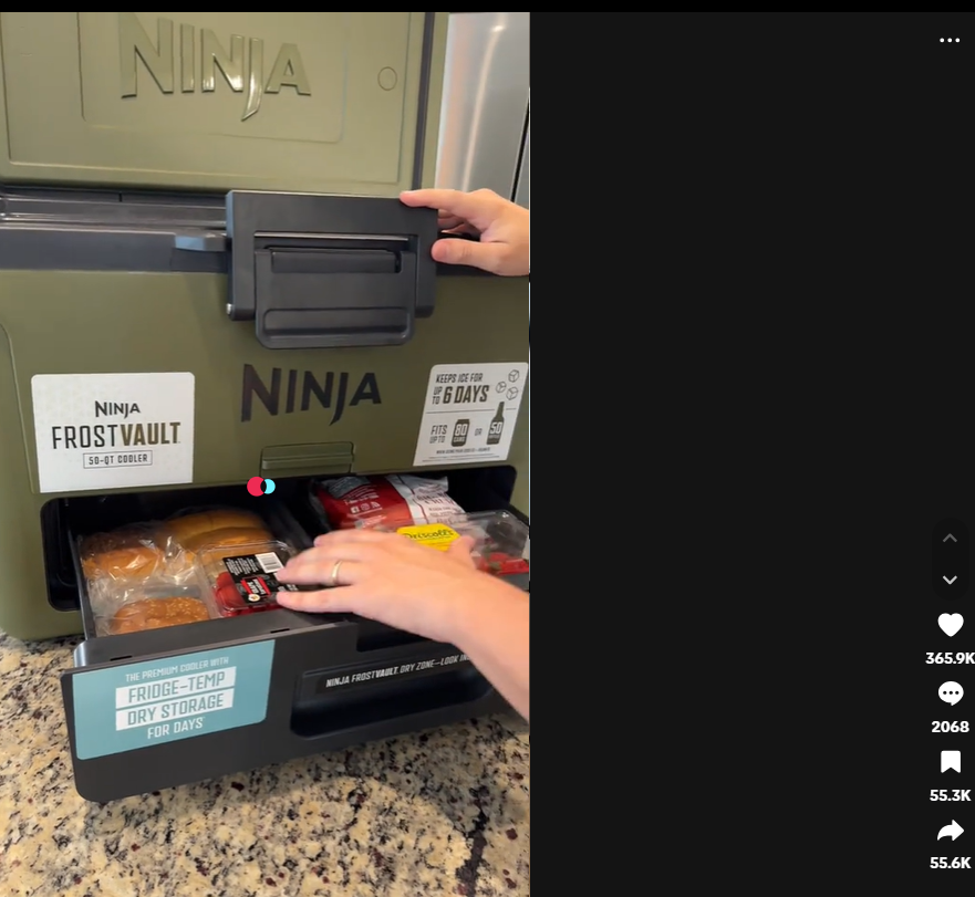 九阳旗下Ninja冷藏箱TikTok美区爆卖：月销2.5万件，创新无融水技术切入高端户外市场