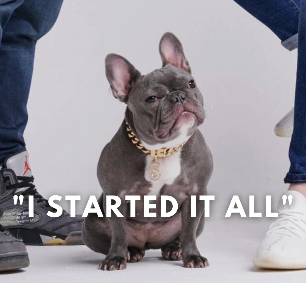 图片 宠物服饰品牌SPARK PAWS半年销售5600万美元:精准切入法斗犬细分市场,靠“人宠亲子装”引爆欧美