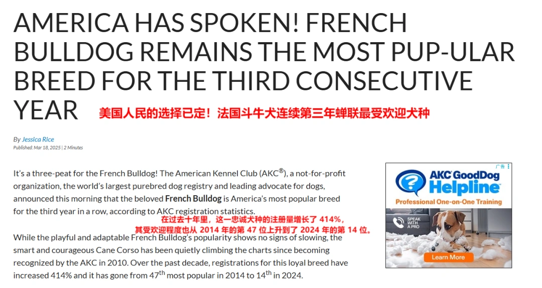 图片 宠物服饰品牌SPARK PAWS半年销售5600万美元:精准切入法斗犬细分市场,靠“人宠亲子装”引爆欧美