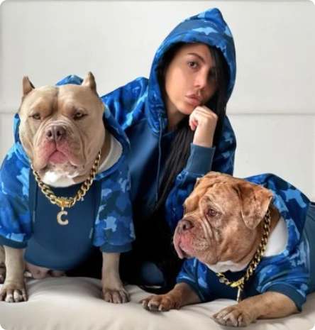 图片 宠物服饰品牌SPARK PAWS半年销售5600万美元:精准切入法斗犬细分市场,靠“人宠亲子装”引爆欧美