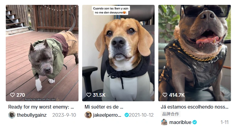 图片 宠物服饰品牌SPARK PAWS半年销售5600万美元:精准切入法斗犬细分市场,靠“人宠亲子装”引爆欧美