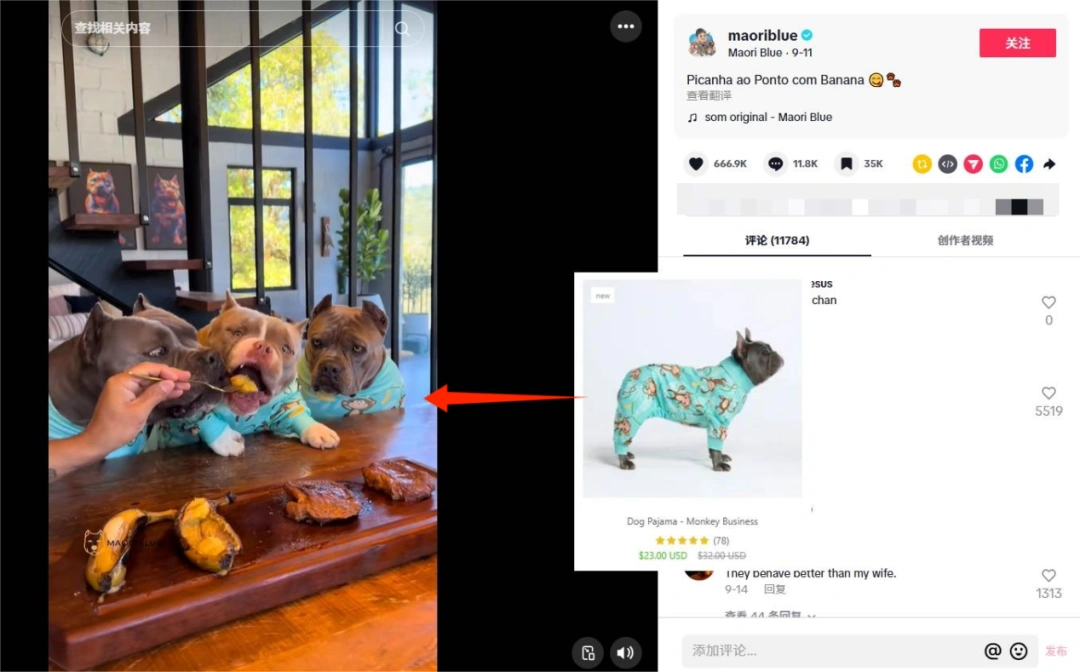 图片 宠物服饰品牌SPARK PAWS半年销售5600万美元:精准切入法斗犬细分市场,靠“人宠亲子装”引爆欧美