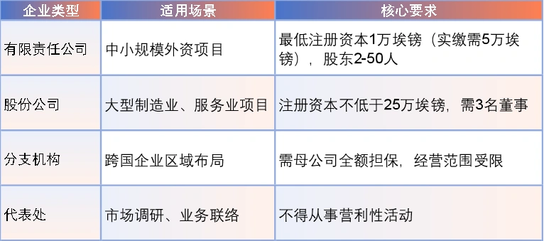图片 从经济韧性到非洲对标,企业掘金埃及市场的全景指南
