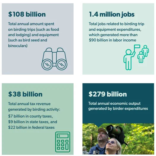 闲来观鸟、无事烧烤：两个冷门品类如何撬动千亿海外市场​