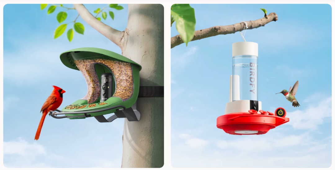 闲来观鸟、无事烧烤：两个冷门品类如何撬动千亿海外市场​