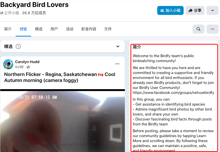 闲来观鸟、无事烧烤：两个冷门品类如何撬动千亿海外市场​
