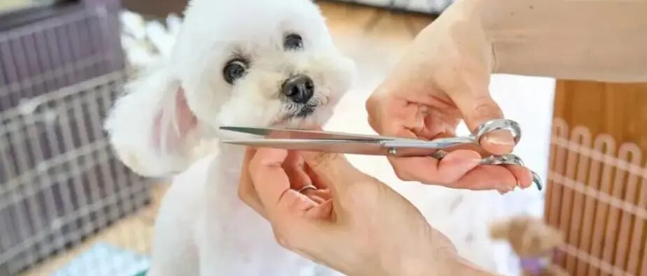 单品狂赚5000万！TikTok这些小众赛道正在疯狂吸金