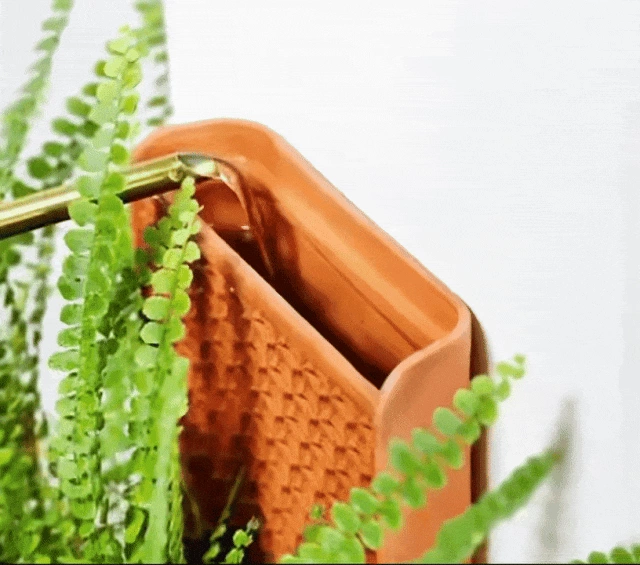 图片 无土水培砖,一个月内获近7000人追捧!在海外狂卷近百万美金