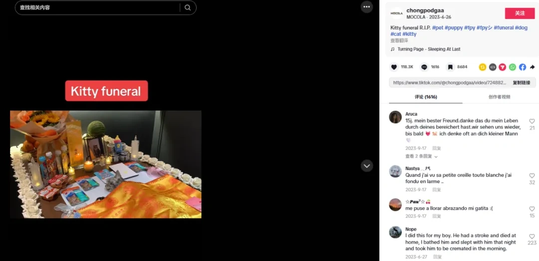 图片 年销6000万,宠物圈又一小众冷门产品火爆全球