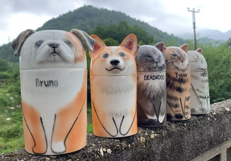 图片 年销6000万,宠物圈又一小众冷门产品火爆全球