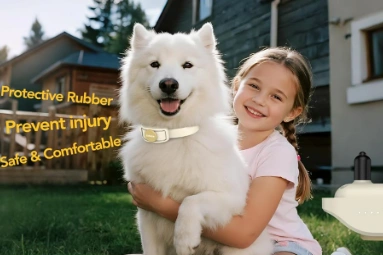 图片 月销6万件背后:Jugbow如何用专业训练项圈撬动亚马逊宠物市场?