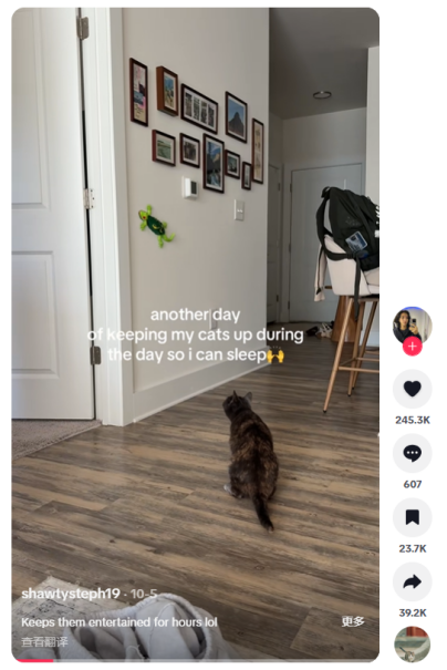 “爬墙壁虎”爬上了TikTok榜单，3个月爆卖1000万
