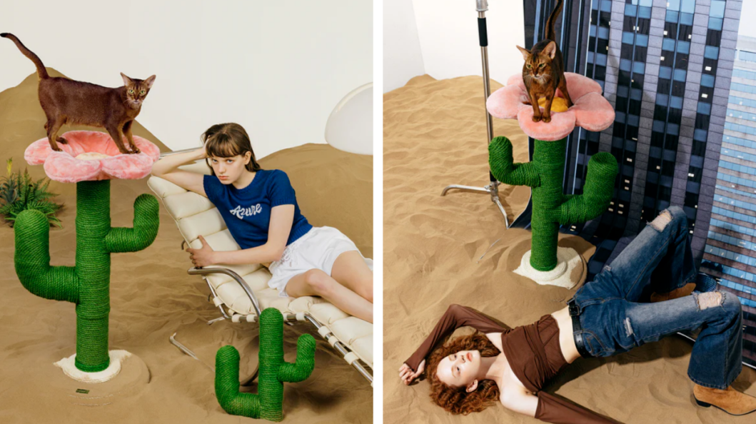 从30万件到2.1亿GMV：Vetreska如何用美学重构宠物赛道？