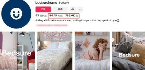 Bedsure黑五狂赚数百万美元!家居品牌TikTok爆单3招,2025攻略直接抄