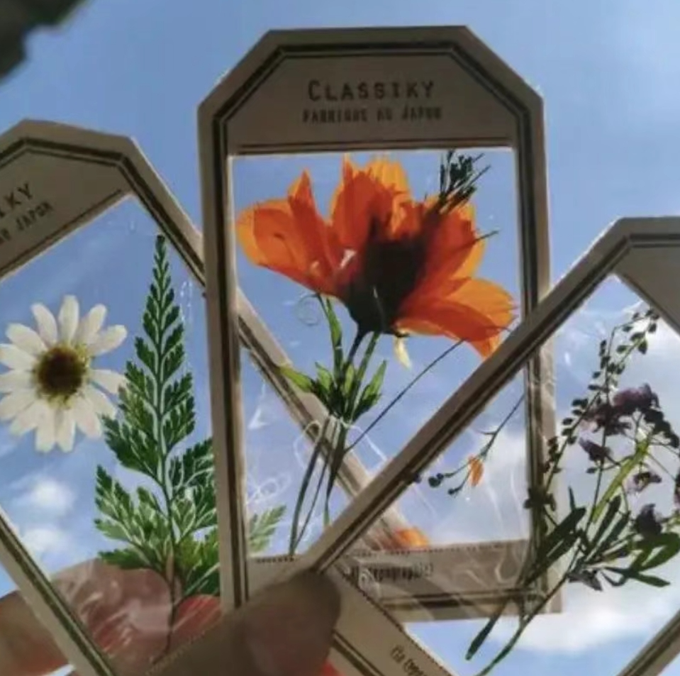 2个月203万销售额！TikTok爆款钉扣钳的出海启示