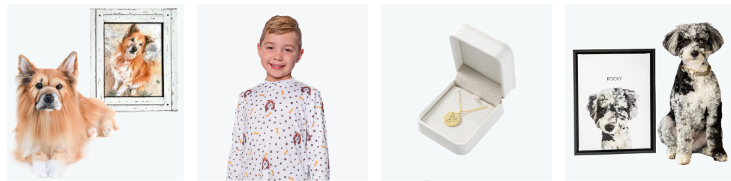 不搞智能用品，宠物品牌如何高价卖爆欧美？