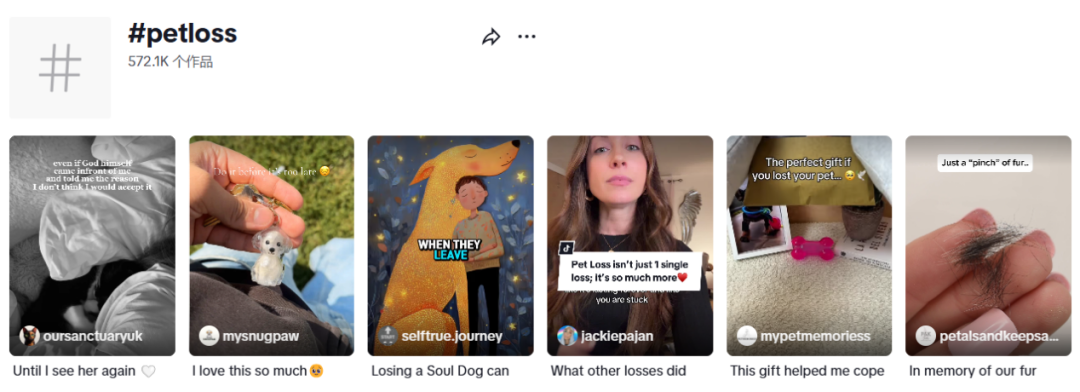 266亿，这个赛道成跨境卖家下一个金矿