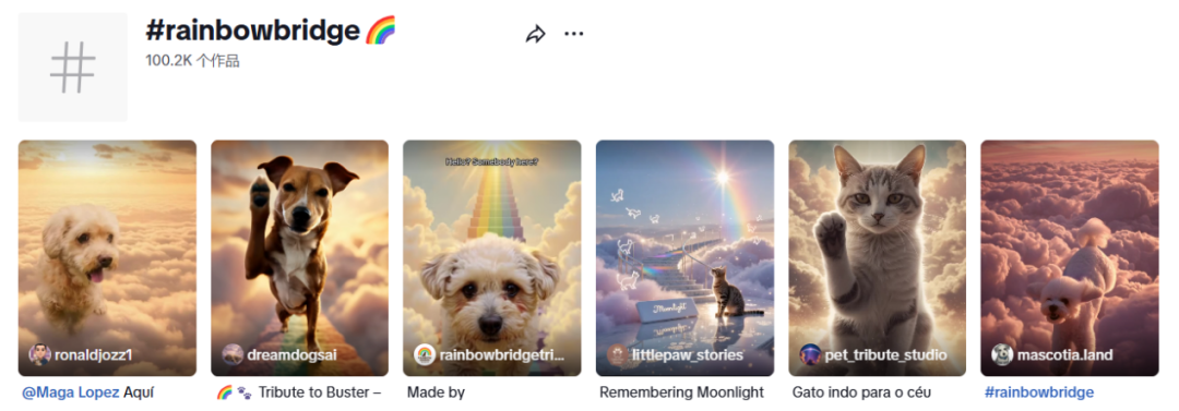 266亿，这个赛道成跨境卖家下一个金矿