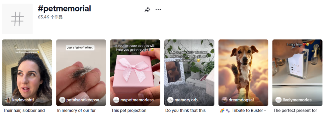 266亿，这个赛道成跨境卖家下一个金矿