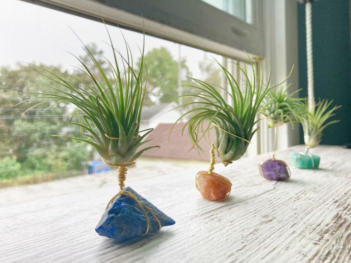 单款销售1500万：水晶盆栽如何靠"能量寓意"打开海外市场