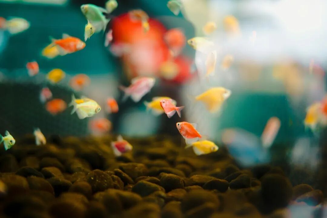 450亿“冷门”生意大爆发！这届年轻人的“癖好”不简单