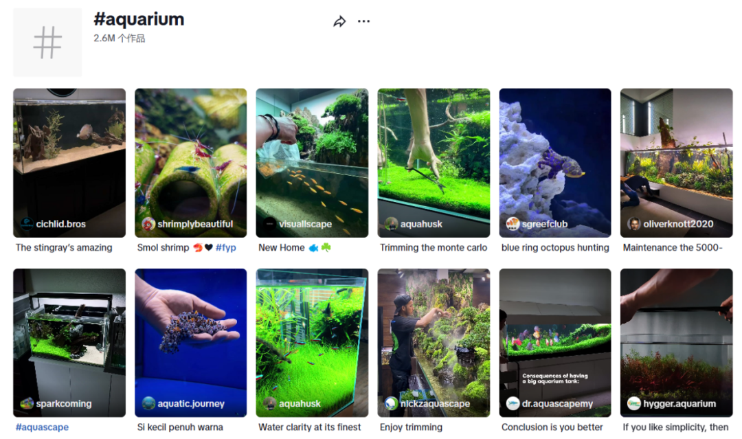 450亿“冷门”生意大爆发！这届年轻人的“癖好”不简单